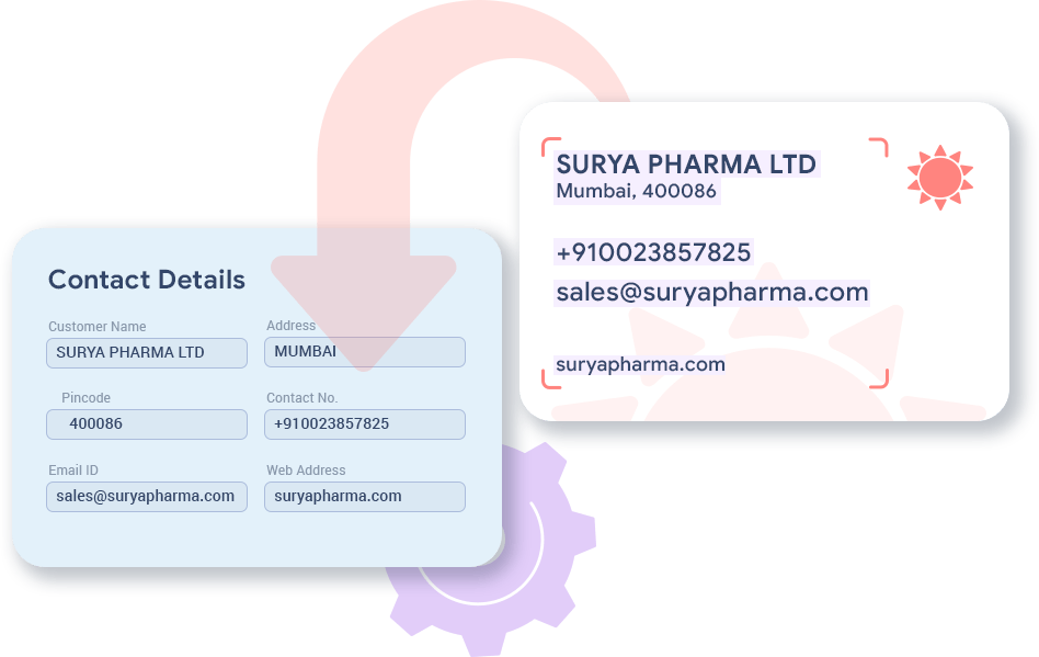 Vision AI Pharma Contact Details