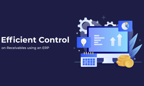 Efficient Control ERP Software